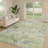 Machine Washable Indoor/Outdoor Chantille ACN2748 Paisley Rug-1992006202-1992006197