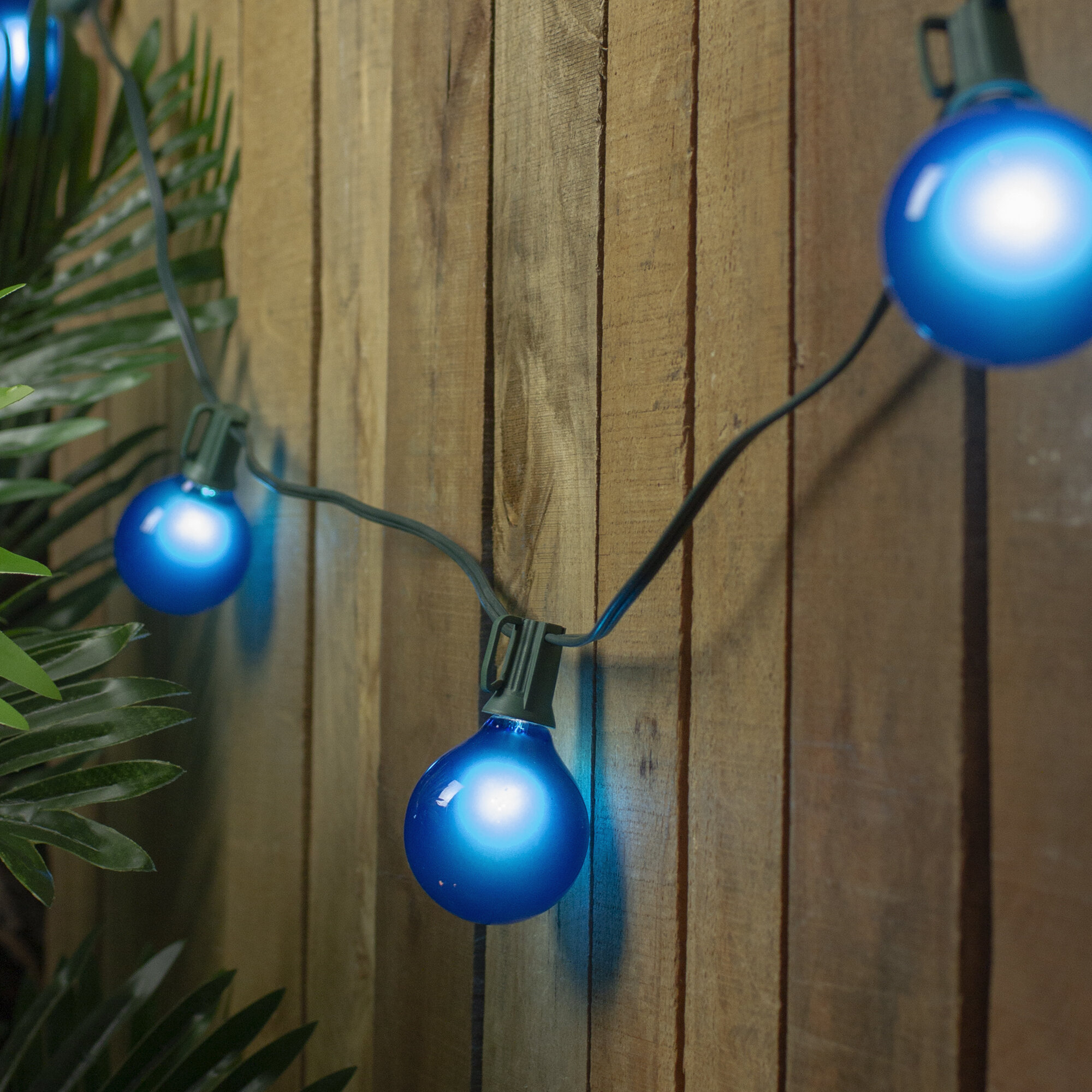 https://assets.wfcdn.com/im/91014602/compr-r85/1938/193864599/set-of-15-blue-satin-g50-globe-christmas-lights-green-wire.jpg