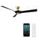 58" Torque 3 - Blade Outdoor/Indoor Smart Ceiling Fan with Remote Control Included, Works With Alexa and iOS or Android App