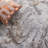 Prevost Abstract Gray/Taupe/White Area Rug-996158172