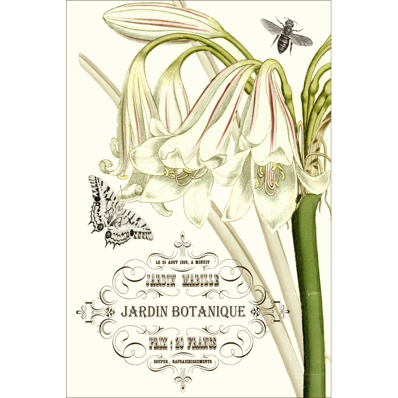 Jardin Botanique I 1 Piece Wrapped Canvas Wall Art, 91cm H x 61cm W x 3.8cm D