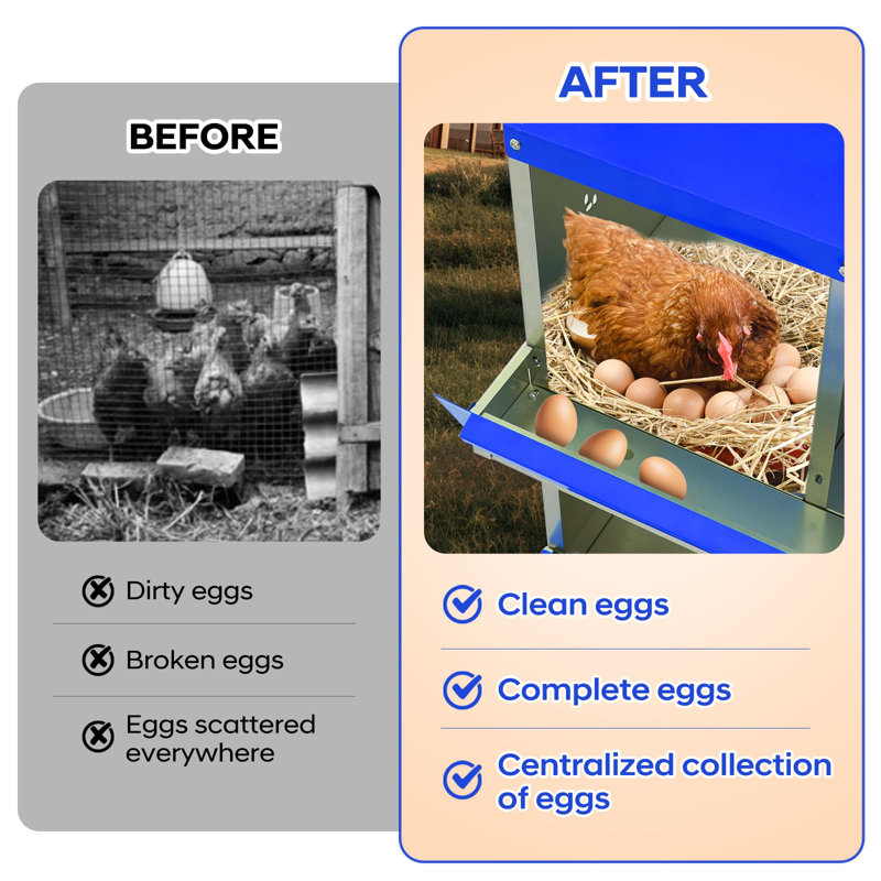 Boîte de nidification de poulet à 6 compartiments, boîte à œufs en métal avec trous ventilés, bleu, Bleu