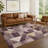 Machine Washable Indoor/Outdoor Jozwiak ACN2373 Geometric Rug-970500260