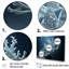 Anémone noire et bleue sur toile-1221196553-1221196552