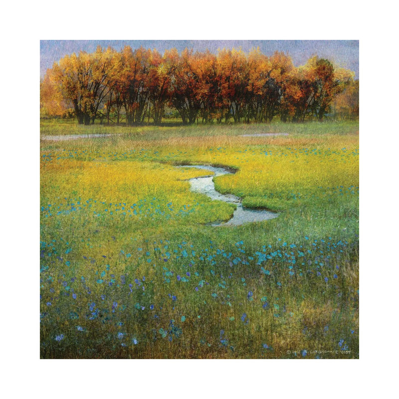 Meadow Flowers I by Christopher Vest - Wrapped Canvas Gallery-Wrapped Canvas Giclée, 66.04 cm H x 66.04 cm W x 3.175 cm D