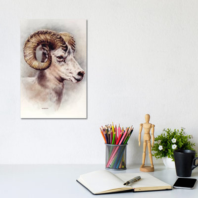 Dall Sheep Portrait - Wrapped Canvas Painting