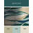 Sunlit Reflections Rug-514995865