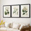 Antique Turpin Botanical IV - reproduction sur mesure encadrée de qualité supérieure - 3 pièces