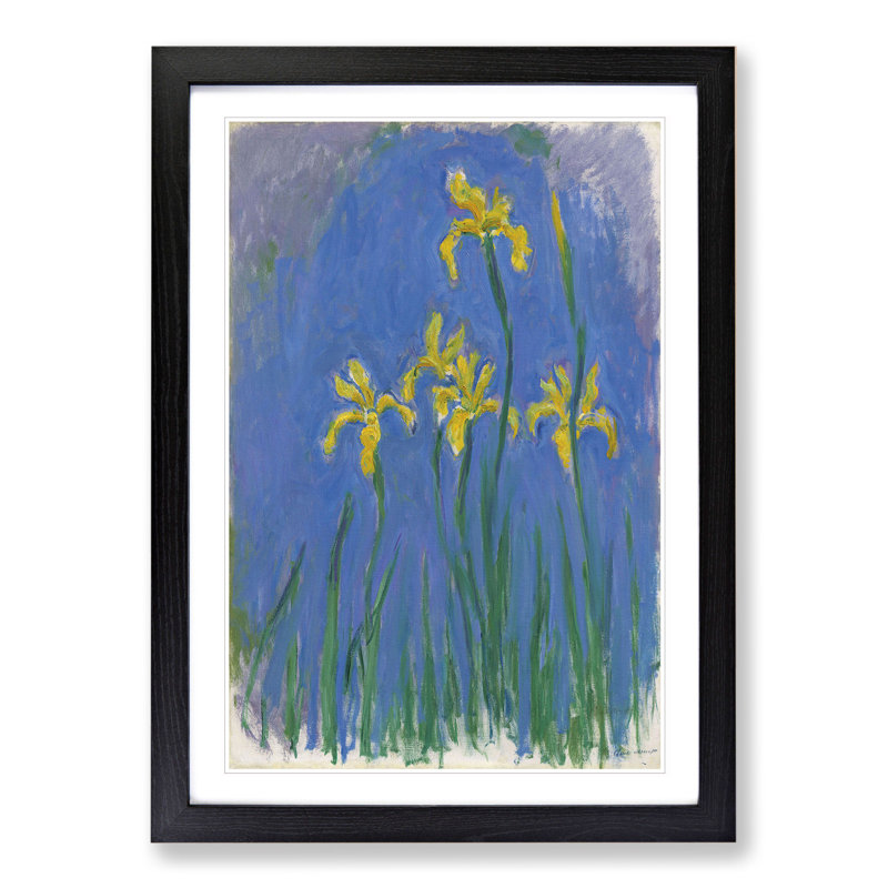 Yellow Irises Study by Claude Monet - Picture Frame Painting, Black Framed, 48cm H x 36cm W x 2cm D