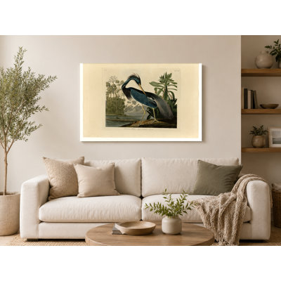 Louisiana Heron (1834) — Landscape Canvas Wall Art