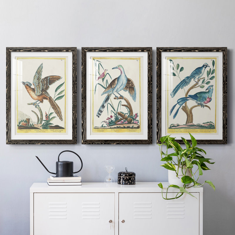 Cadre Pastel Birds IV Premium - prêt à accrocher, Noir, H 20 po x l 51 po x P 1,5 po