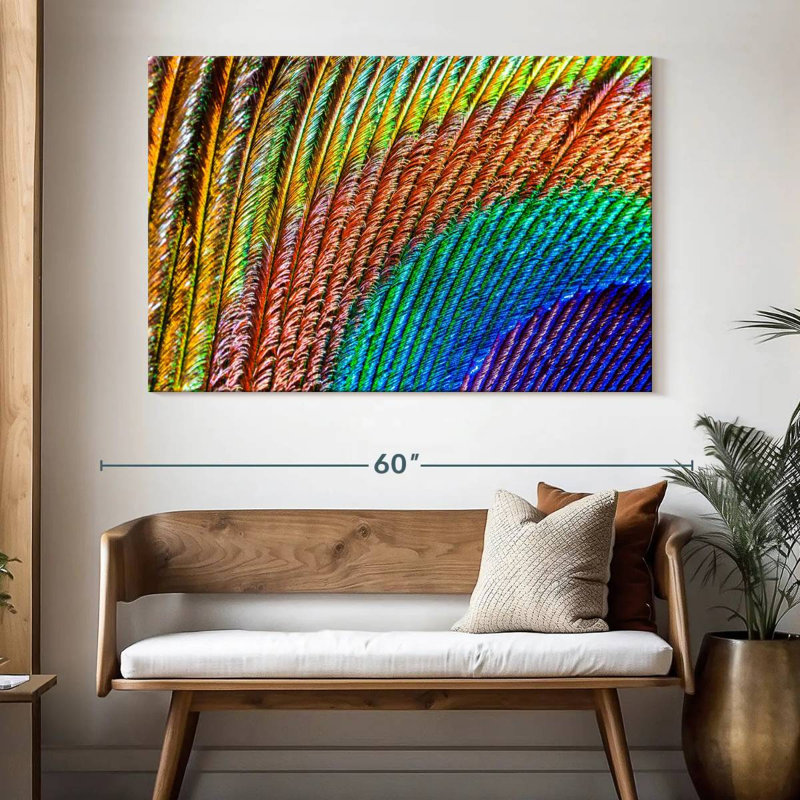 Brampt Abstract Peacock Feather, 34" H x 51" W