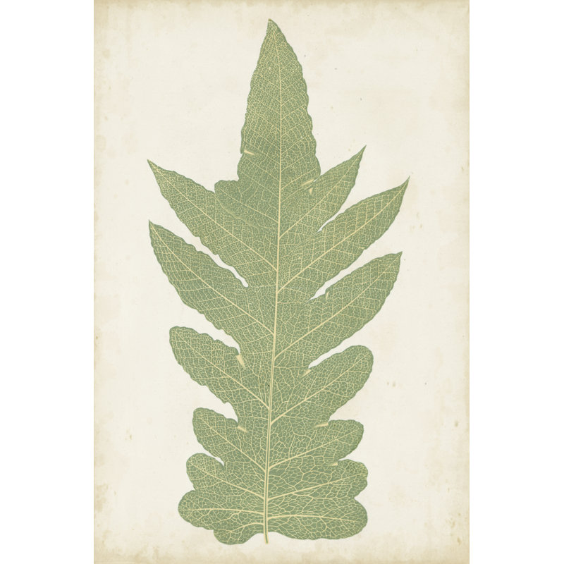 Fern Family IX by Lowe - Wrapped Canvas Painting, 122cm H x 81cm W