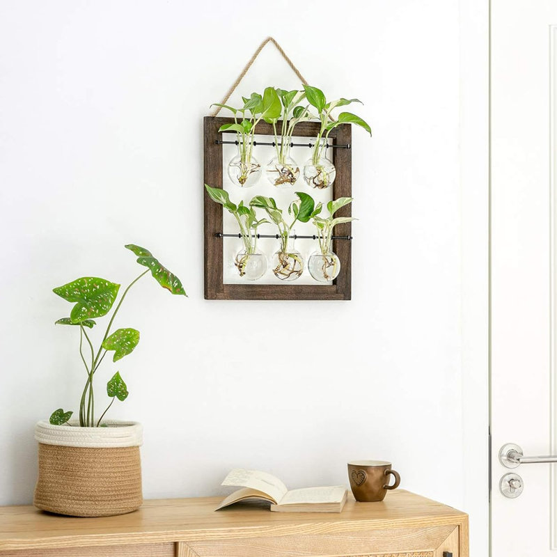 Plante terrarium avec support en bois
