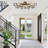 Smoke Grey Glass Globe Blossom Flush Mount Ceiling Light-1460750851