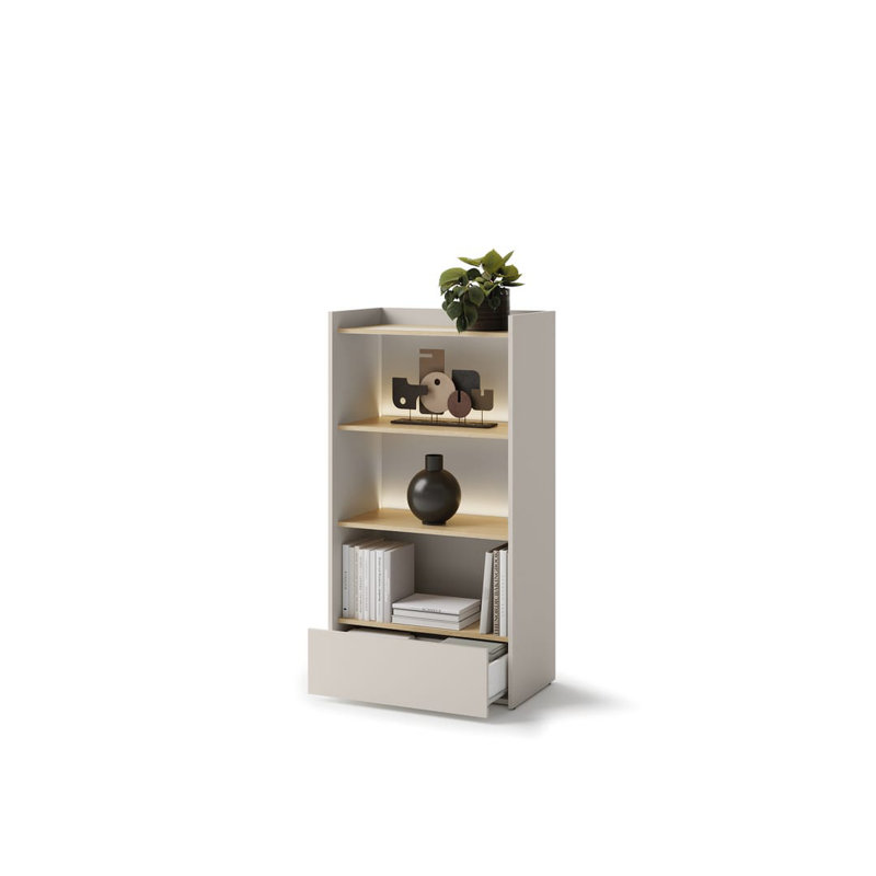 Anjuman 132cm H x 70cm W Standard Bookcase