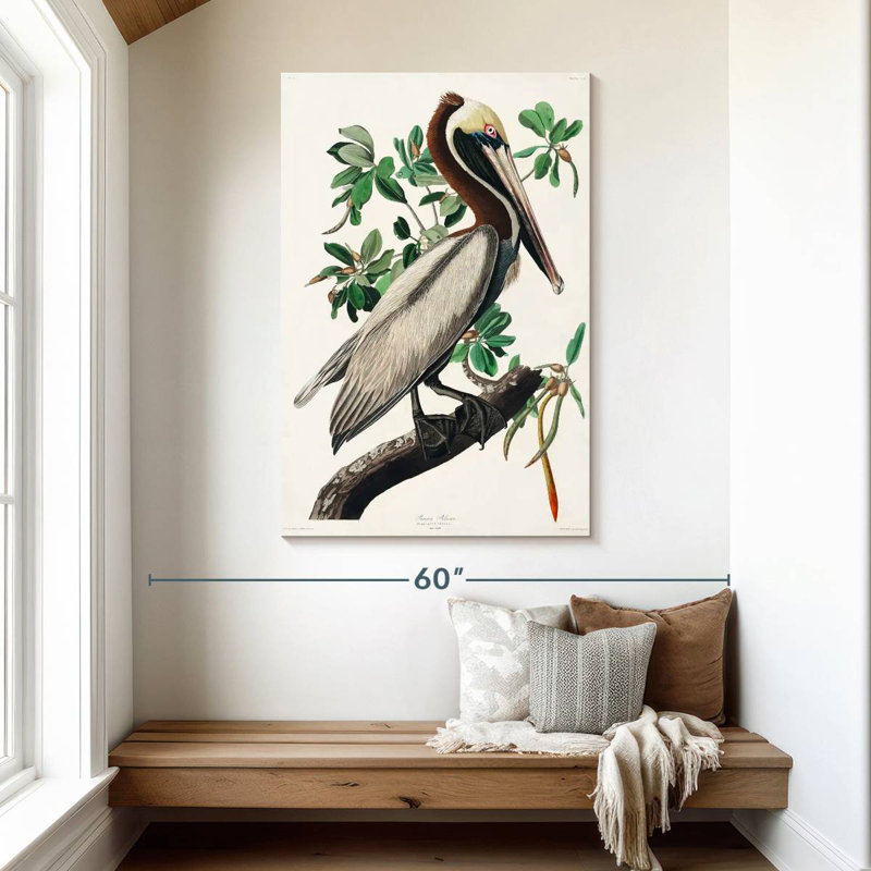 Brampt Brown Pelican II, 48" H x 32" W