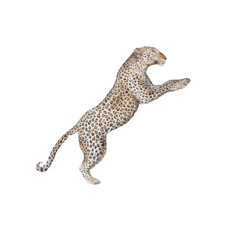 Leaping Leopard by Wandering Laur - Wrapped Canvas Print, 66.04 cm H x 66.04 cm W x 1.91 cm D