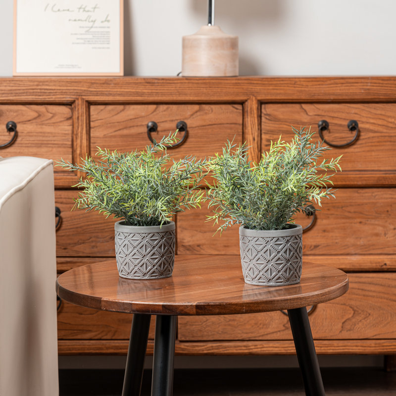2 - Piece Artificial Plant Set