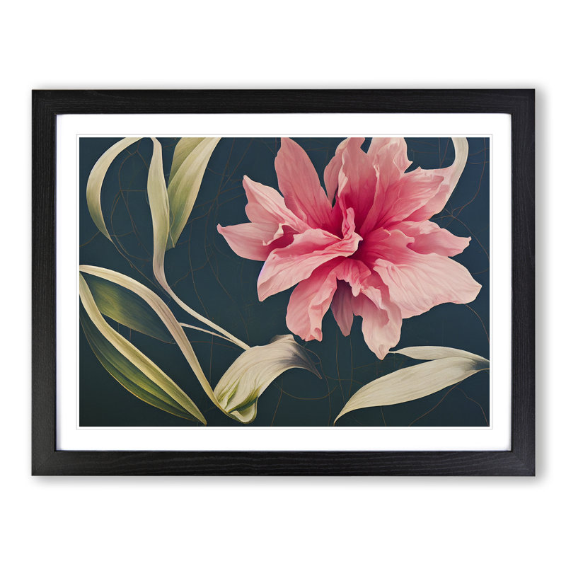Thrilling Flower - Single Picture Frame Print, 46cm H x 64cm W x 2cm D, Black Framed