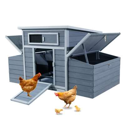 Grand poulailler en bois Pavo Farmhouse