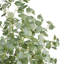 Faux eucalyptus 71,26 po