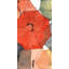 The umbrellas of petit champlain - 24"x48" Framed canvas