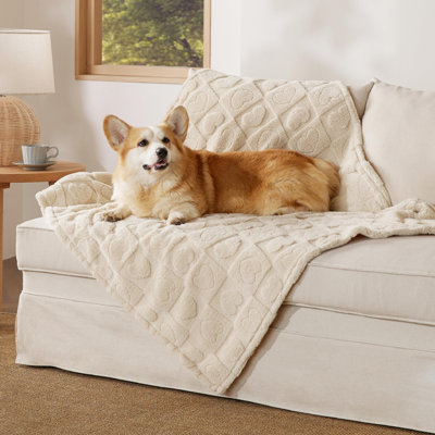 Bedsure Cozy Indoor Dog Blanket for Large Dogs & Cats, Premium 300GSM Coral Fleece, Fluffy Soft Washable Pet Throw