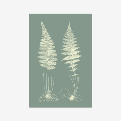 Ferns on Sage VI 1 Piece Painting