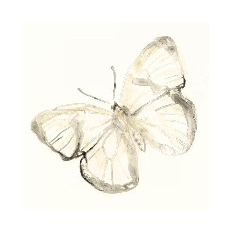 Sepia Butterfly Impressions III by June Erica Vess - Wrapped Canvas Gallery-Wrapped Canvas Giclée, 93.98cm H x 93.98cm W