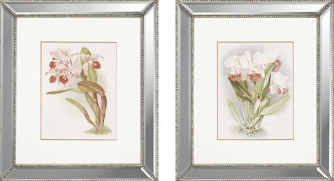 Dramatic Orchid by Moon Florals Art Set