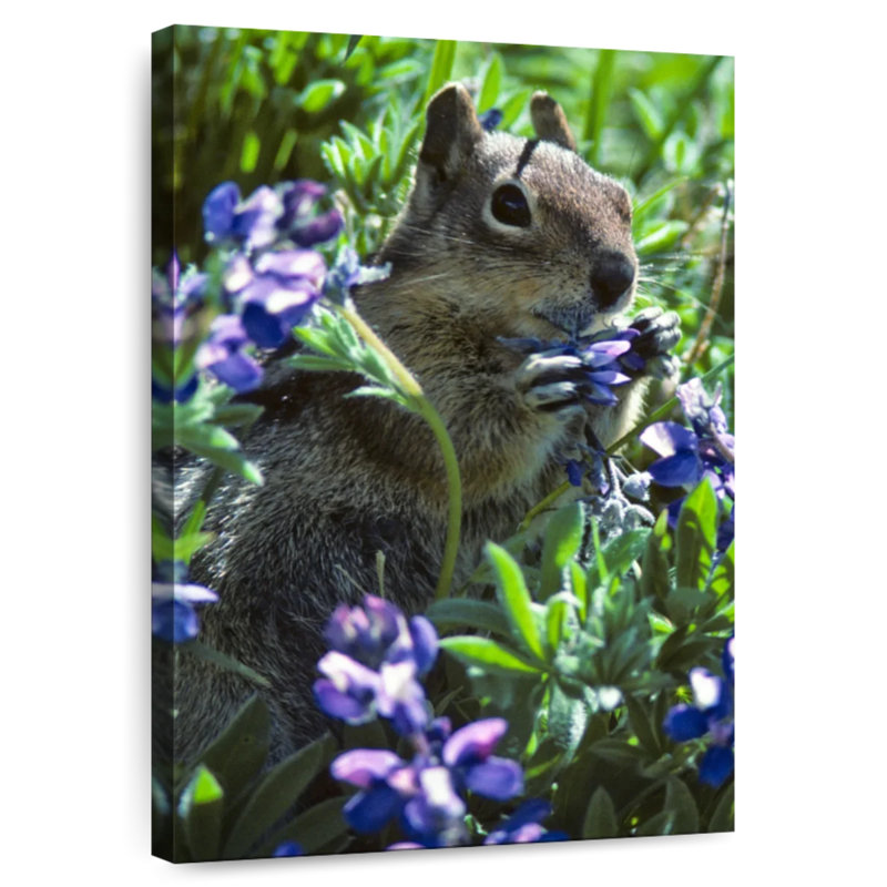 Brampt Lupine Eating Squirrel, 12" H x 8" W