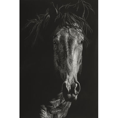 " Wild Scratchboard VI " by Julie T. Chapman