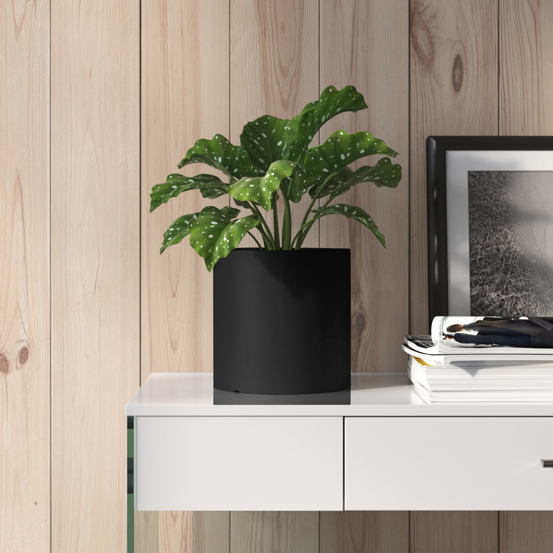 Pot à fleur en céramique Alida, H 7,5 po x l 6,25 po x p 6,25 po, Noir