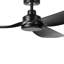 Antiope Ceiling Fan with Light Kit