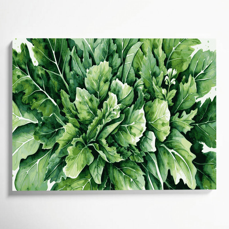 Art mural sur toile vert légumes roquette Eruca sativa, H 24 po x l 36 po