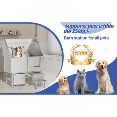 50Instainless Steel Dog Washing Station