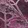 Machine Washable Indoor/Outdoor Leavittsburg ACN2239 Floral Rug