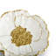 Anemone Catch All Decorative Plate