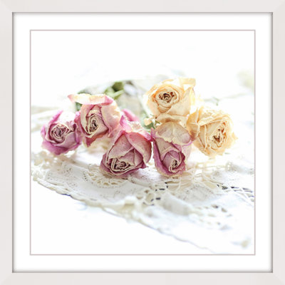Sylvia Cook - Single Picture Frame Print