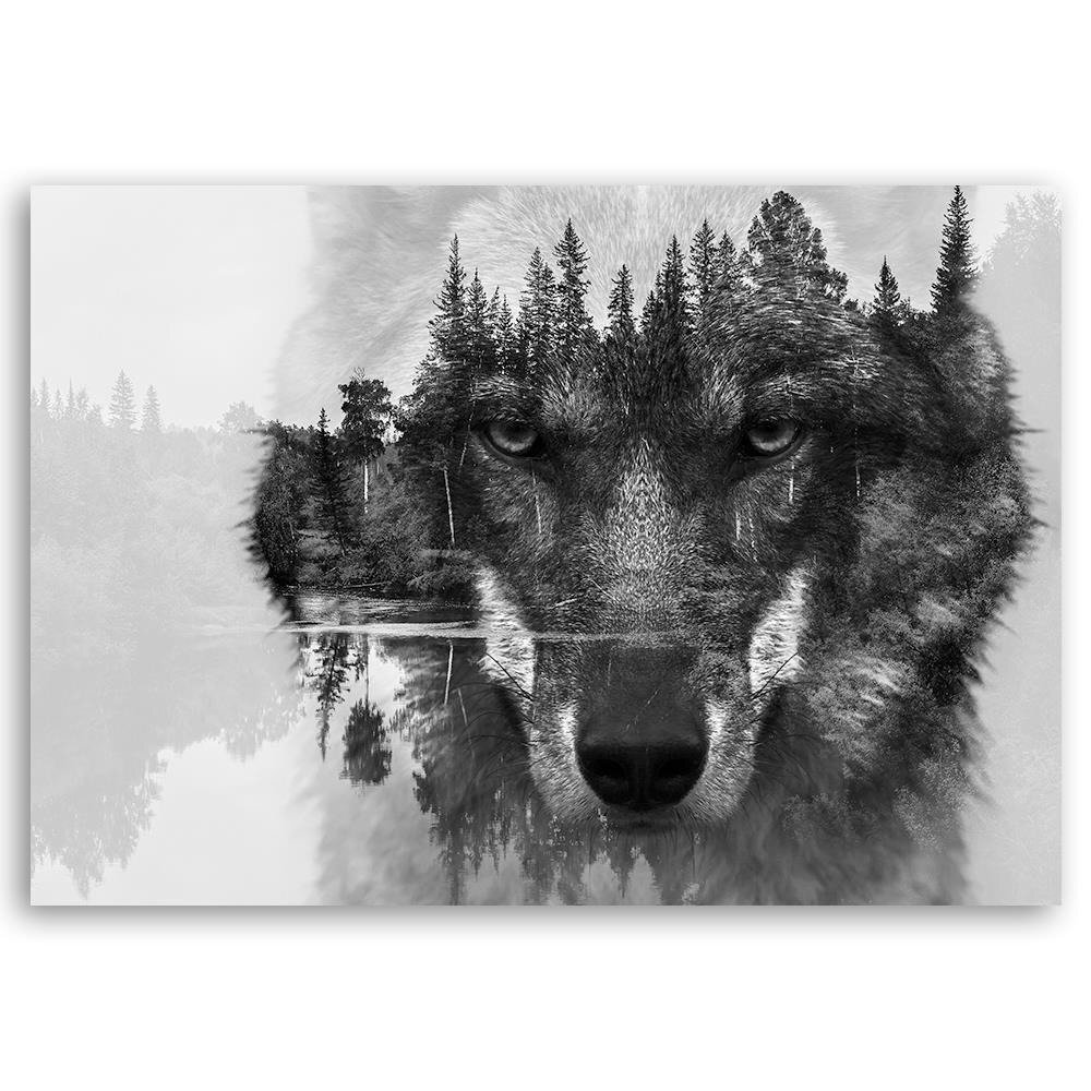 Leinwandbild Grauer Wolf