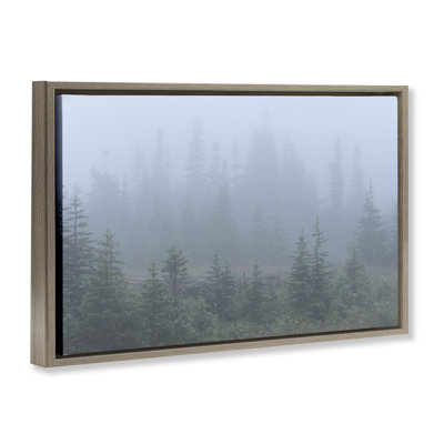 Toile flottante encadrée «Foggy Forest Trees» par Hunter Page