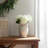 Table Vase For Home Decor - Terracotta Vase With Handles - Elegant Flower Vase Or Vases For Entryway Or Dining Room-699302623-689273865