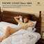 Oreiller en duvet d'oie Pacific Coast-126079672-125879390
