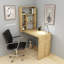 Computer Desk with Shelves Wall Mountable Lindzy-68938382