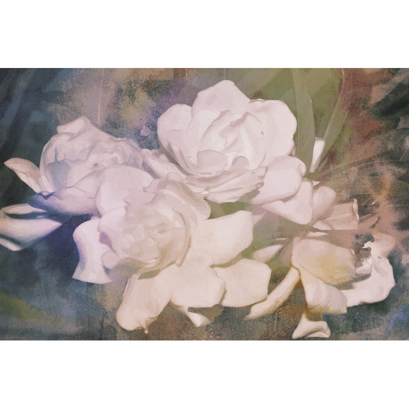 Blush Gardenia Beauty I by Sharon Chandler - Painting Print, 20cm H x 30cm W, Wrapped Canvas