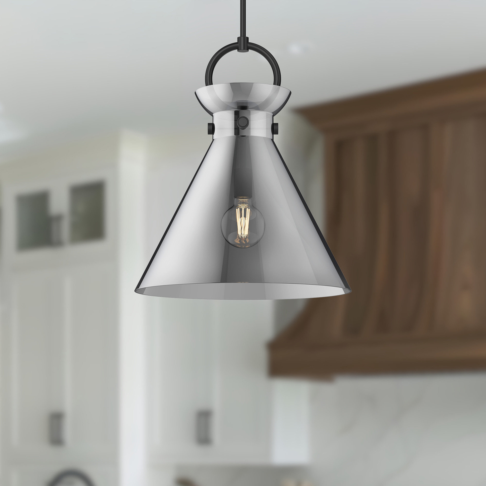 Tiney Single Light Glass Steel Pendant, 21.75" H x 18" W x 18" D, Matte Black/Smoked