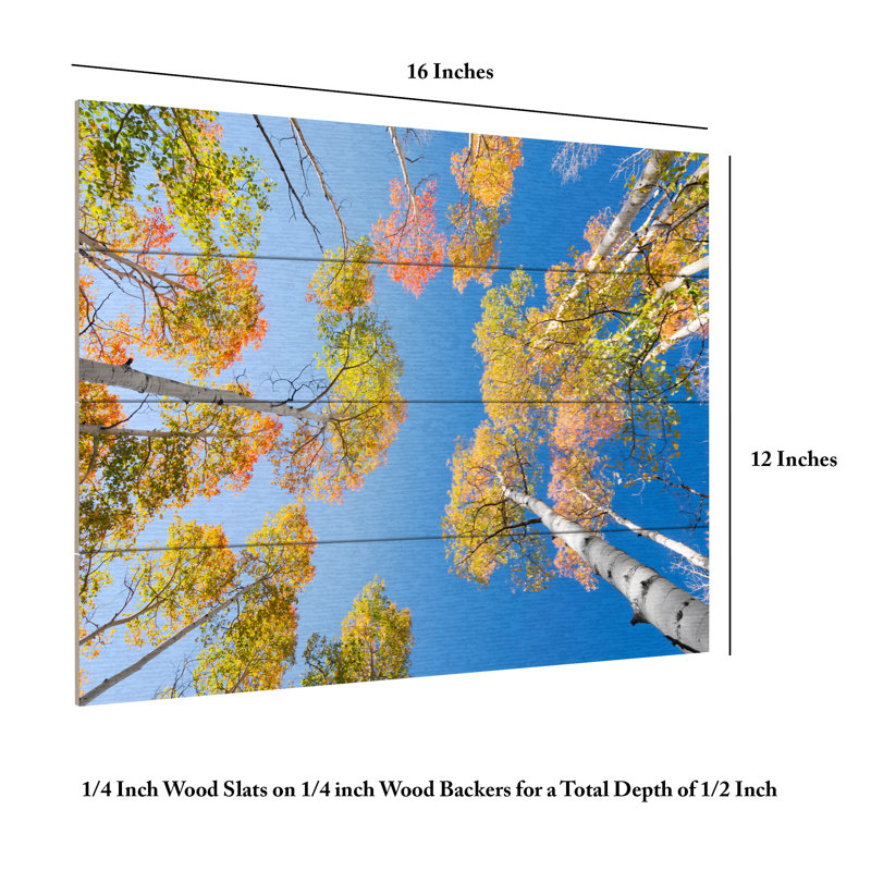 Stefan Hefele  Autumn Birchs Wood Slat Art, H 12 po x l 16 po
