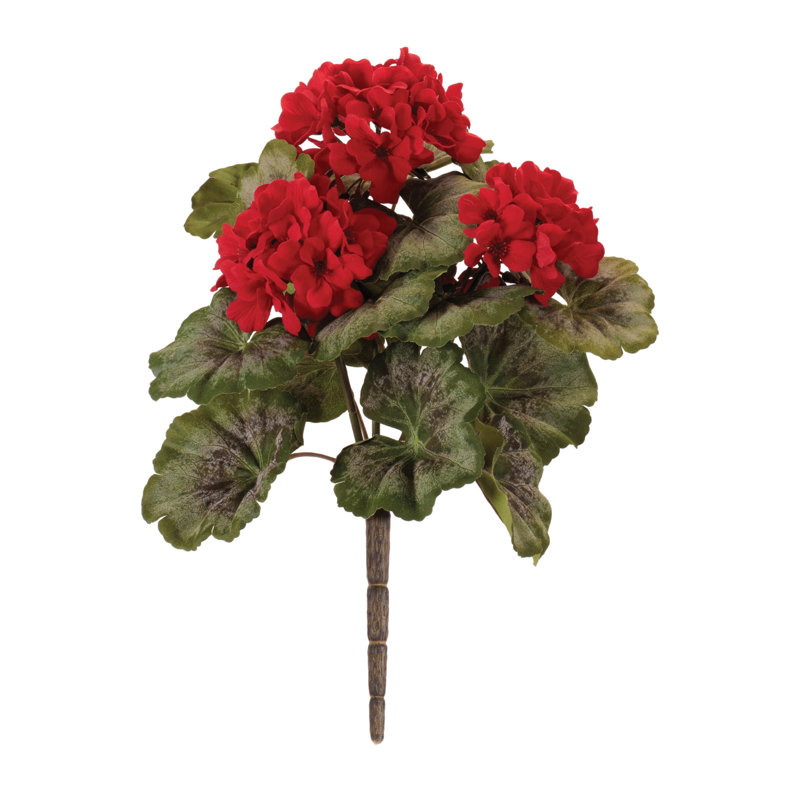 Geranium buisson floral (ensemble de 2)