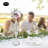 Mixed Assortment Arrangement-1389560271